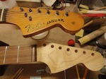 7strings_jaguar_362.jpg