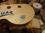 7strings_jaguar_365.jpg