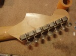 7strings_jaguar_381.jpg
