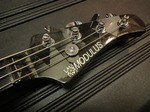modulus_fb4_004.jpg