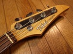 tokai_b135_003.jpg
