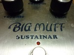elk_bigmuff_02.jpg