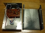 elk_bigmuff_04.jpg