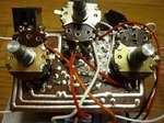 elk_bigmuff_08.jpg