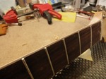 7strings_jaguar_506.jpg