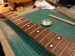 7strings_jaguar_711.jpg