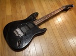 fernandes_fst90_001.jpg