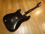 fernandes_fst90_002.jpg