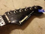 fernandes_fst90_003.jpg