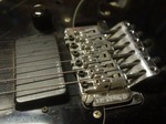 fernandes_fst90_004.jpg