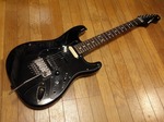 fernandes_fst90_039.jpg