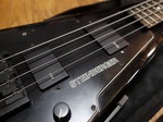steinberger_xp2a_003.jpg