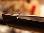 steinberger_xp2a_031.jpg