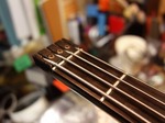 steinberger_xp2a_034.jpg