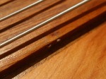 wishbass_lobe_prototype_006.jpg